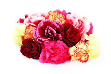 Image showing carnations