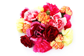 Image showing carnations