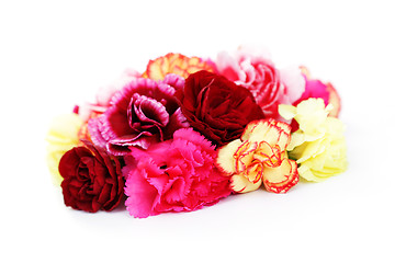 Image showing carnations