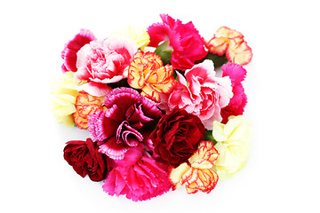 Image showing carnations