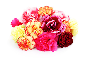 Image showing carnations