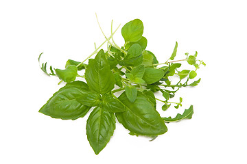 Image showing Herbs