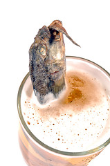 Image showing salty fish swallowing another one in beer