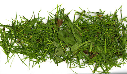 Image showing Grass cuttings