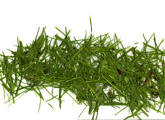 Image showing Grass cuttings