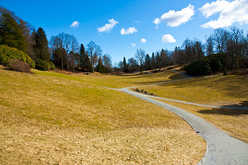 Image showing Park in springtime