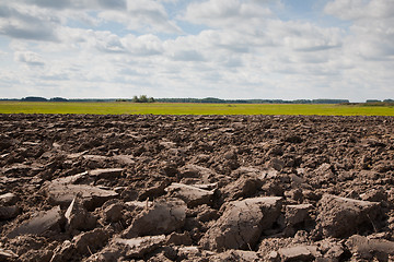 Image showing End of summer in agricultural landscape