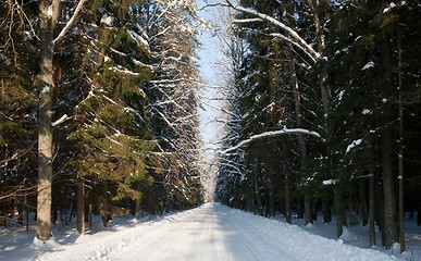 Image showing Snowy wide ground road crossing old mixed stand