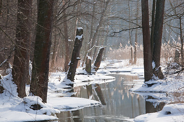 Image showing Winter landscape of flowing river in sunny day