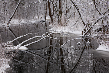 Image showing Snowy riparian forest over river