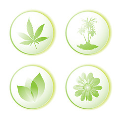 Image showing eco icon leaf