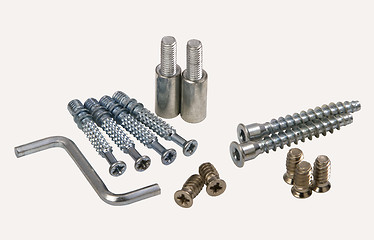 Image showing Set of modern bolts and screws for furniture assemblage