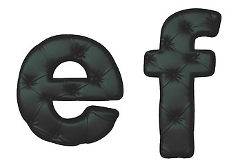 Image showing Luxury black leather font E F letters