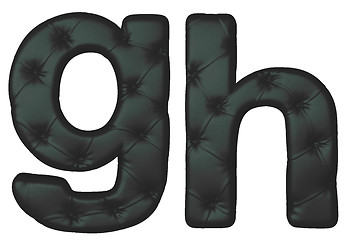 Image showing Luxury black leather font G H letters 