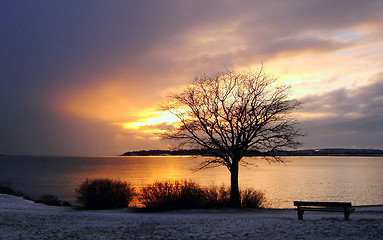 Image showing Gold Winter Sunset in Finland