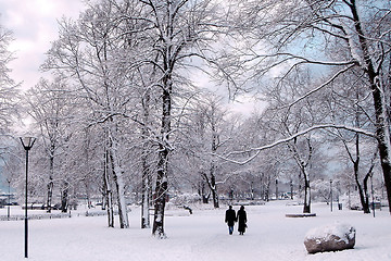 Image showing Winter in City Park