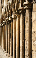 Image showing Gothic columns