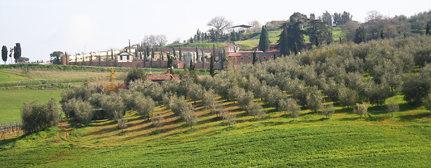 Image showing Italy. Tuscany region, Val D'Orcia valley