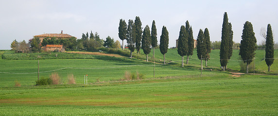 Image showing Italy. Tuscany region, Val D'Orcia valley