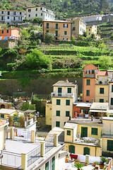 Image showing Italy. Cinque Terre. Colorful houses of Riomaggiore village 