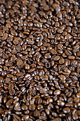 Image showing Espresso Coffee Beans