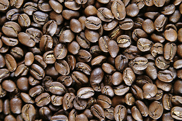 Image showing Light Roast Beans