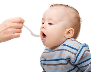 Image showing Cute little boy is being fed using spoon