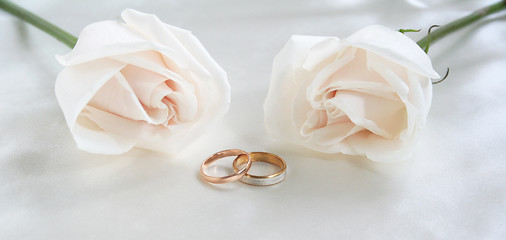 Image showing Wedding rings and roses as background 