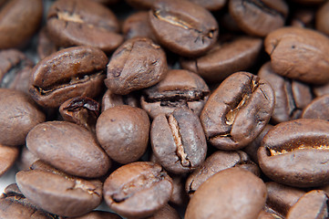 Image showing Caffee beans