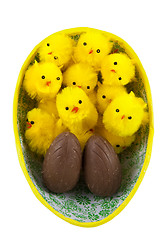 Image showing Easter chickens in easter egg