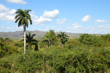 Image showing Cuba