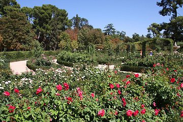 Image showing Botanical garden in Madrid