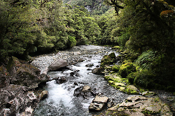 Image showing New Zealand