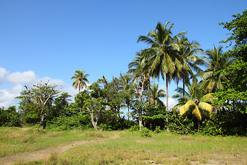 Image showing Cuba