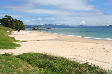 Image showing Coromandel