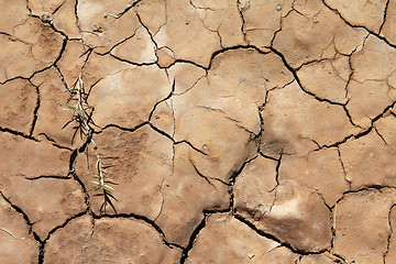 Image showing Dry soil background