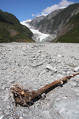 Image showing New Zealand - Franz Josef