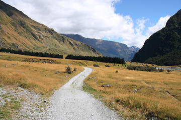 Image showing New Zealand