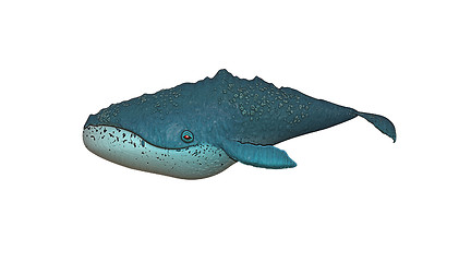 Image showing whale illustration