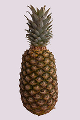 Image showing Pineapple