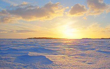 Image showing Gold Winter Frosen Sea Sunset in Finland