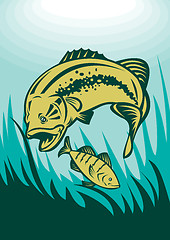 Image showing largemouth bass preying on perch fish 