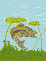 Image showing largemouth bass fish swimming underwater