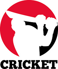 Image showing cricket player batsman silhouette batting