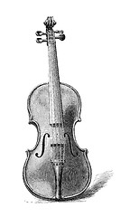 Image showing Violin