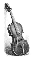 Image showing Stradivarius