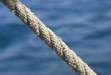 Image showing Rope against sea water