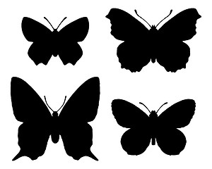 Image showing Butterfly silhouettes