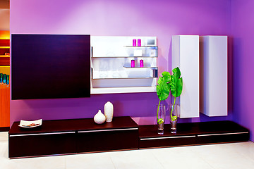 Image showing Purple shelf 2