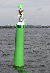 Image showing Green buoy